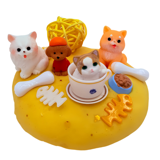 Pets Therapeutic Sensory Jar With Play Dough Kit