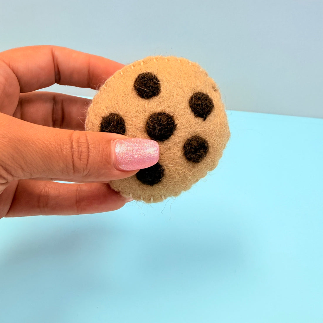 Hand holding a cookie