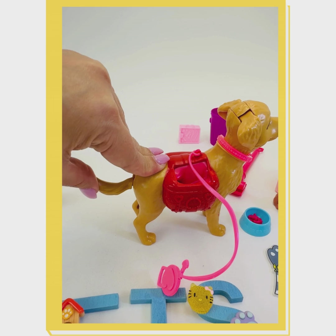 Pets Playdough Sensory Kit – Responsibility, Care &amp; Routines